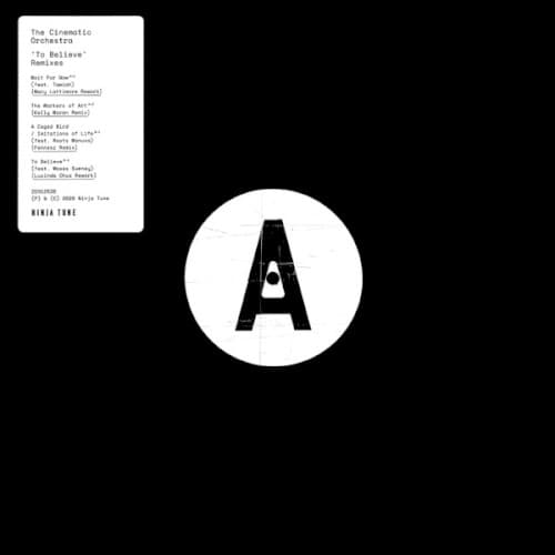 To Believe (Remixes) cover