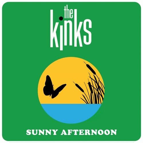 Sunny Afternoon cover