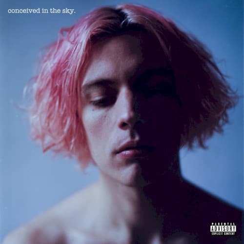 Conceived in the Sky cover