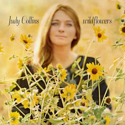 Wildflowers cover