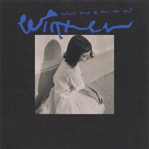 What Kind of Blue Are You? cover