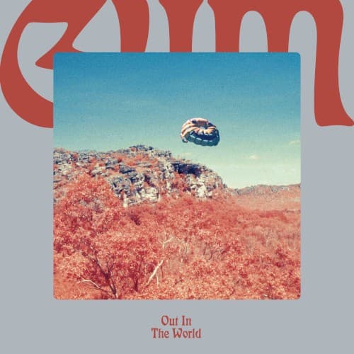 Out in the World cover