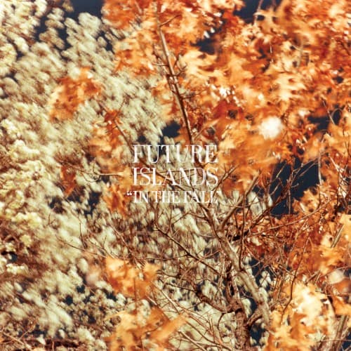 In the Fall cover