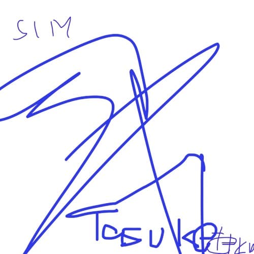 Sim cover
