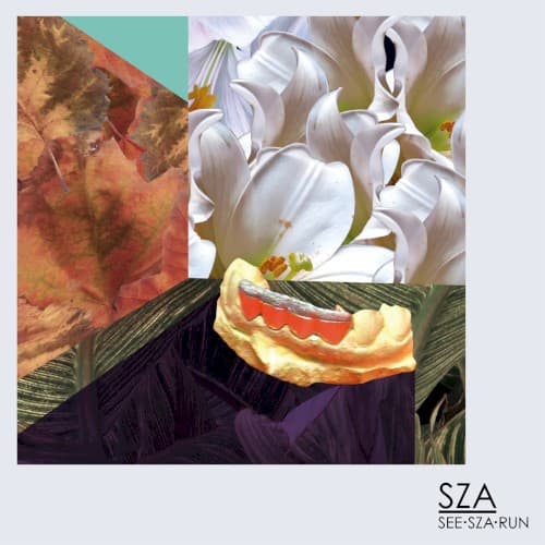 See.SZA.Run cover