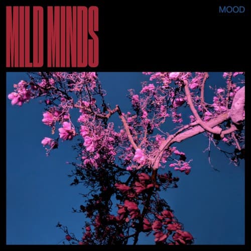 Mood cover