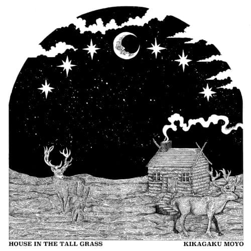 House in the Tall Grass cover