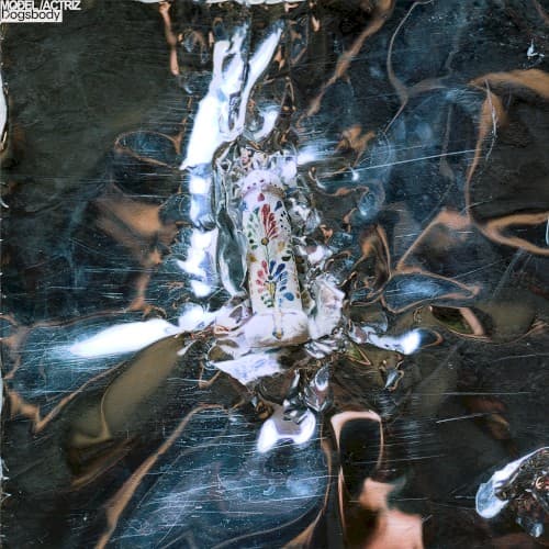 Dogsbody cover
