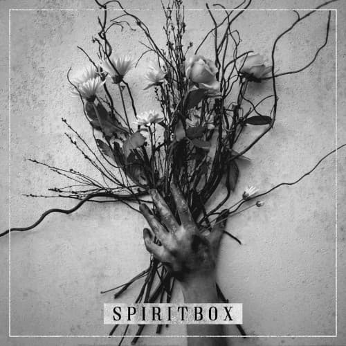 Spiritbox cover