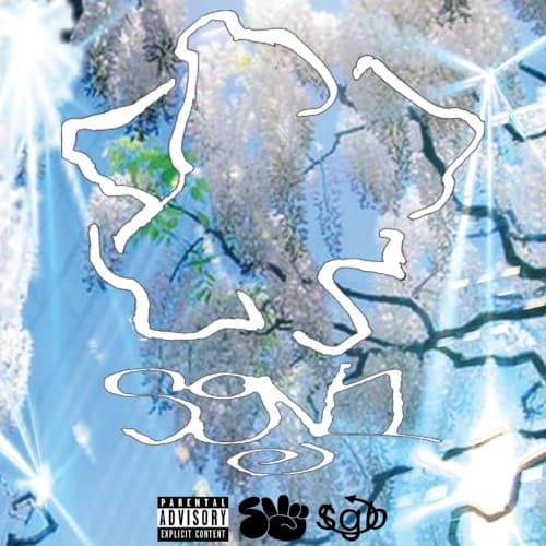 SGV1 cover