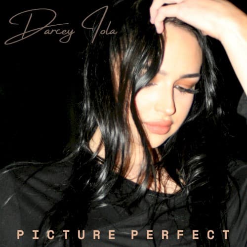 Picture Perfect cover