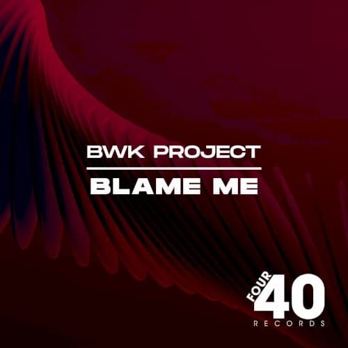 Blame Me cover