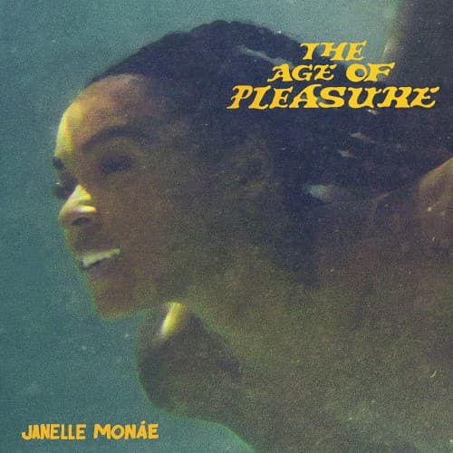 The Age of Pleasure