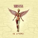 In Utero, verified listen and review