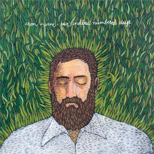 Our Endless Numbered Days cover