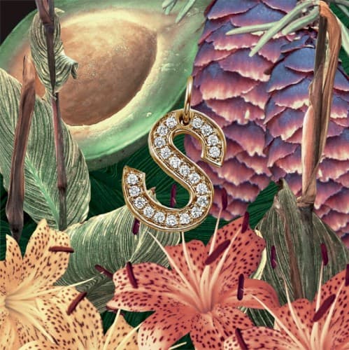 S cover