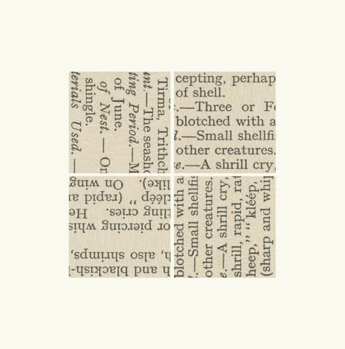 Verse of Birds
