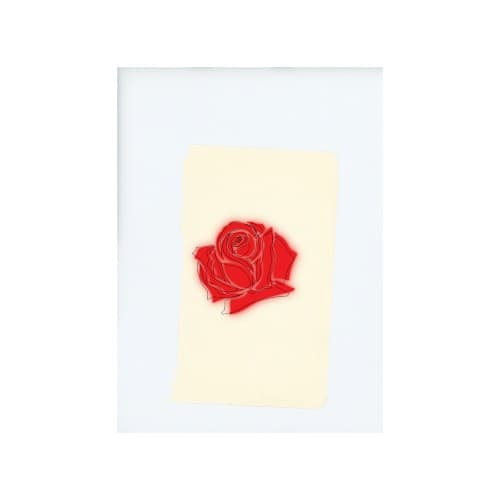 LANY cover